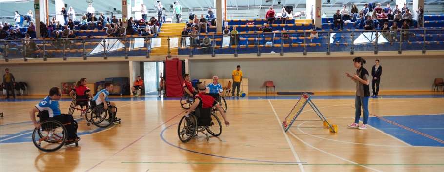 Resultado de imagen de wheelchair tchoukball